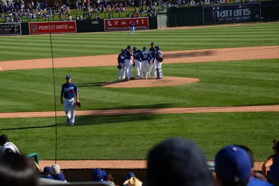 DSC_1665 (Large).JPG